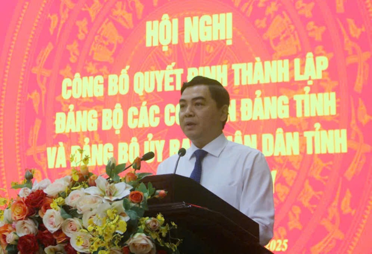Bình Thuận công bố quyết định thành lập 2 Đảng bộ trực thuộc Tỉnh ủy